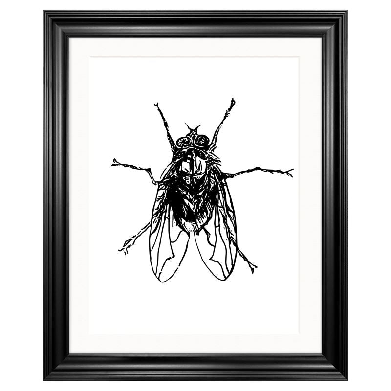 'Fly' Black & White Art Print.